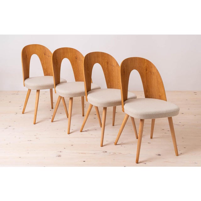 Mid-Century Dining Chairs attributed to A. Suman, 1960s, Set of 10 For Sale - Image 6 of 18