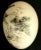Beautiful Chinese Vintage Hand-Painted Natural Egg For Sale - Image 4 of 11
