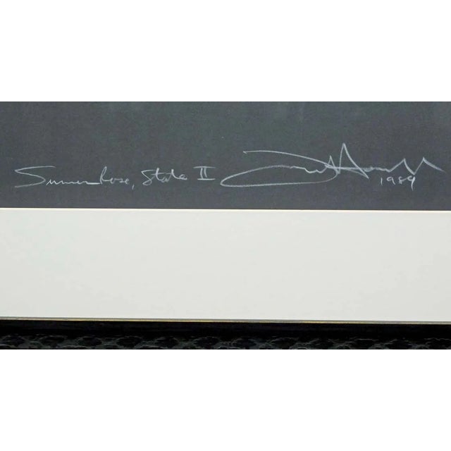 Impressionist Frank Howell "Summer Rose II " Original Art With Custom Frame Hand Signed For Sale - Image 3 of 6