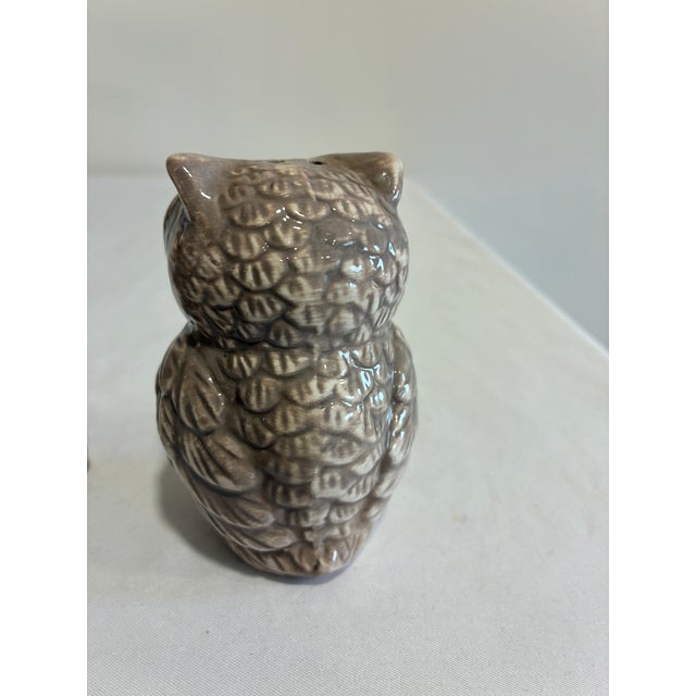 Beige Vintage Ceramic Owl Salt and Pepper Shakers — A Pair For Sale - Image 8 of 10