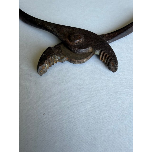 Antique Late 19th Century Forged Iron Specialty Pliers, Circa 1875-1895, Partial Ny Maker Stamp For Sale - Image 4 of 7