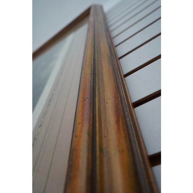 Vintage European Color Engraving of Horse For Sale - Image 4 of 12