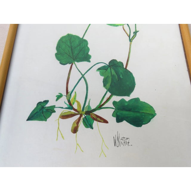 Flowers Watercolor by W. Kratz, 1950s, Set of 4 For Sale - Image 9 of 18