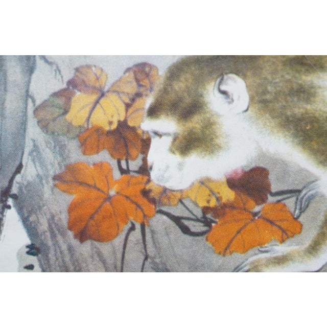 1970s Liu Kuiling Beasts Hanging Scrolls Cats Monkeys Rabbits Squirrels 38" - Set of 4 For Sale - Image 18 of 18