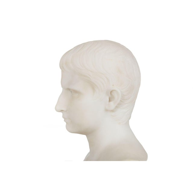 Grand Tour Antique Italian Carved Marble Bust of Young Caesar Augustus For Sale - Image 13 of 16
