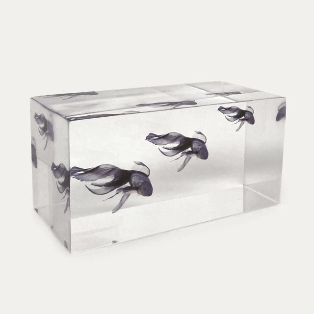 This Clear Lucite in the shape of a rectangle is reflecting the image of some fishes floating, swimming in the water...