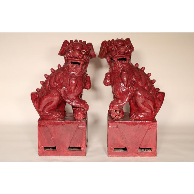 Pair of 36" tall maroon colored stoneware foo dogs, approximately 60 years old.