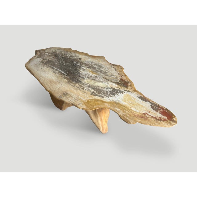 Contemporary Andrianna Shamaris Live Edge Petrified Wood Coffee Table with Organic Teak Base For Sale - Image 3 of 18