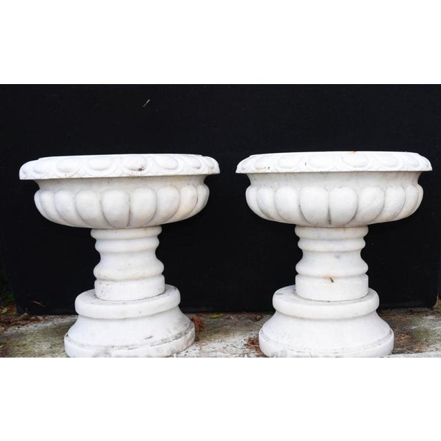 Stone English Stone Garden Planters, Set of 2 For Sale - Image 7 of 8