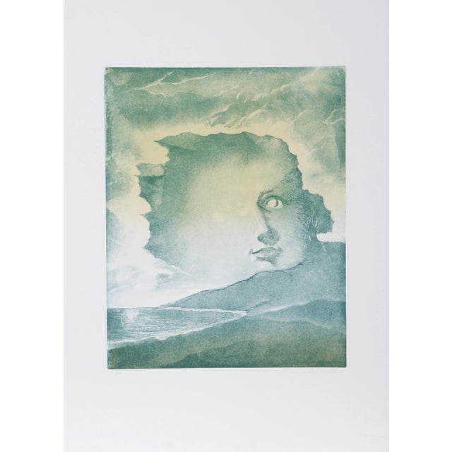 Hank Laventhol, Face in Mountains, Aquatint Etching For Sale