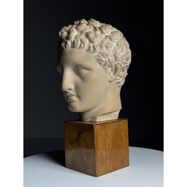 Greek Head Statue in Plaster For Sale - Image 4 of 14
