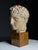 Greek Head Statue in Plaster For Sale - Image 4 of 14