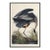 Great Blue Heron Framed Canvas Art by John James Audubon – Black Frame, 24" X 36" For Sale