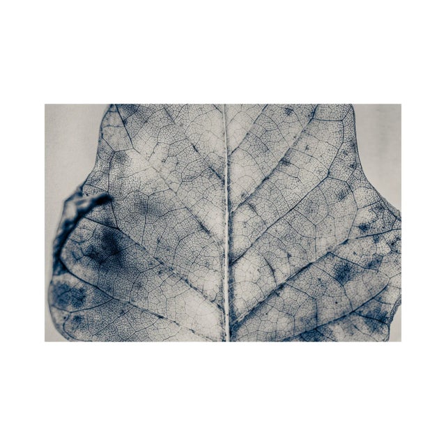 Guy Sargent, The Vein of Truth, Archival Pigment Print For Sale - Image 4 of 6