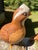A charming pair of glazed ceramic Bobwhites or Quail standing on a woodland style base with leaves and berries, hand-...