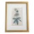 18th Century Hand Colored Passionflower Engraving From Curtis Botanic Magazine For Sale