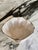 Pottery Barn Under the Sea Clam Chowder Bowl For Sale - Image 11 of 16
