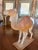 Daum Glass Camel For Sale In Little Rock - Image 6 of 6