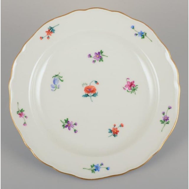 Vintage German Porcelain Plates from Meissen, 1920s, Set of 4 For Sale - Image 3 of 9