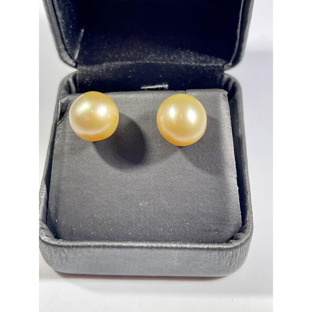 Metal Golden South Sea Pearl Stud Earrings 18 Karat Yellow Gold For Sale - Image 7 of 8