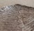 1950s 1950s French Sterling Silver Peacocks - a Pair For Sale - Image 5 of 18
