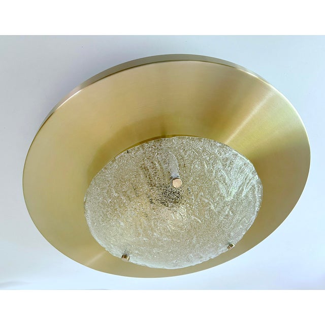 Large Space Age Murano Glass Light from Honsel, 1960s For Sale - Image 13 of 18