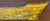 Victorian Clyde Shipbuilders Trade Sign with Annotated Steamship Hull Model For Sale - Image 12 of 17