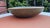 Vintage Painted Wooden Bowl, 1960s For Sale - Image 4 of 6