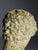 Bust of Hermes in Plaster For Sale - Image 7 of 18