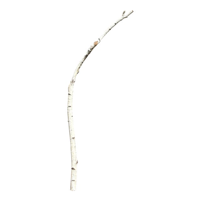 Birchwood Branch Piece for Decoration, Style F For Sale