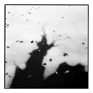 Paul Cooklin, Frozen Lake, Debenham, Edition of 50 For Sale