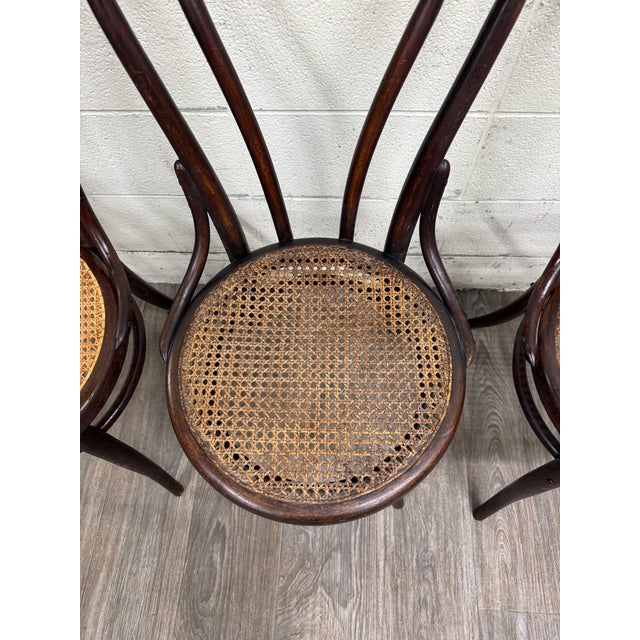 Early 20th Century Antique Thonet Style Bentwood Caned Seat Dining Chairs - Set of 4 For Sale - Image 5 of 12