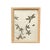 Wood 1893 Herbarium Botanical Specimens, Set of 12 For Sale - Image 7 of 18