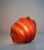 Vintage Sculptural Resin Shell Wall Sconce, 1970s For Sale - Image 14 of 18