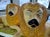 Victorian Pair of 19th Century Staffordshire Lions From England For Sale - Image 3 of 9