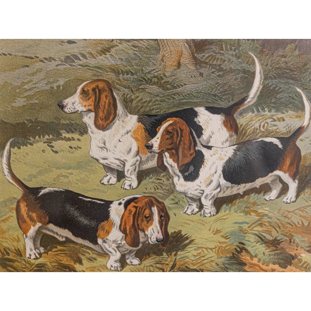 Single Print - This is for the exact Basset Hound style hunting dog print in the main photo. (18 available see other...