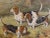 Single Print - This is for the exact Basset Hound style hunting dog print in the main photo. (18 available see other...