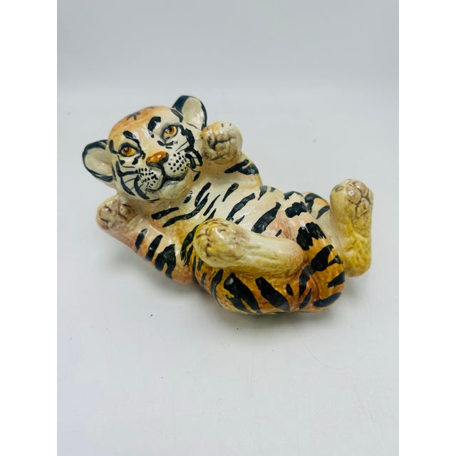 Italian Tiger Cub For Sale In Charleston - Image 6 of 6