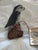 Hai Feng Ma Wood Art Puffin For Sale - Image 6 of 9
