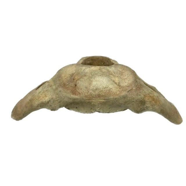 19th Century Very Large Antique Whale Vertebrae #11 For Sale - Image 5 of 10