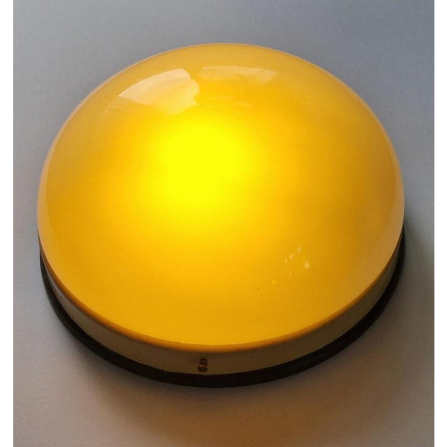 Mid-Century Ceiling Lamps, 1950s For Sale - Image 10 of 18