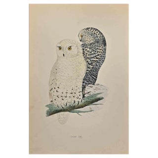 Alexander Francis Lydon, Snowy Owl, Woodcut Print, 1870 For Sale