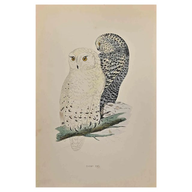 Alexander Francis Lydon, Snowy Owl, Woodcut Print, 1870 For Sale