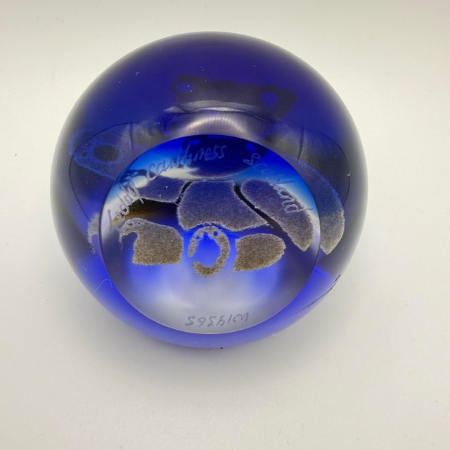 Glass Vintage Caithness Scotland Art Glass "Teddy" Paperweight - Signed & Numbered For Sale - Image 7 of 7