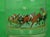 1940s Hand-Painted Race Horses & Jockeys Glass Decanter Signed R Kuntz For Sale - Image 5 of 7