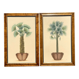 Vintage Coastal Palm Printed - A Pair