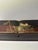 1920s Antique Japanese Shikki Lacquer Box, 1920s For Sale - Image 5 of 13