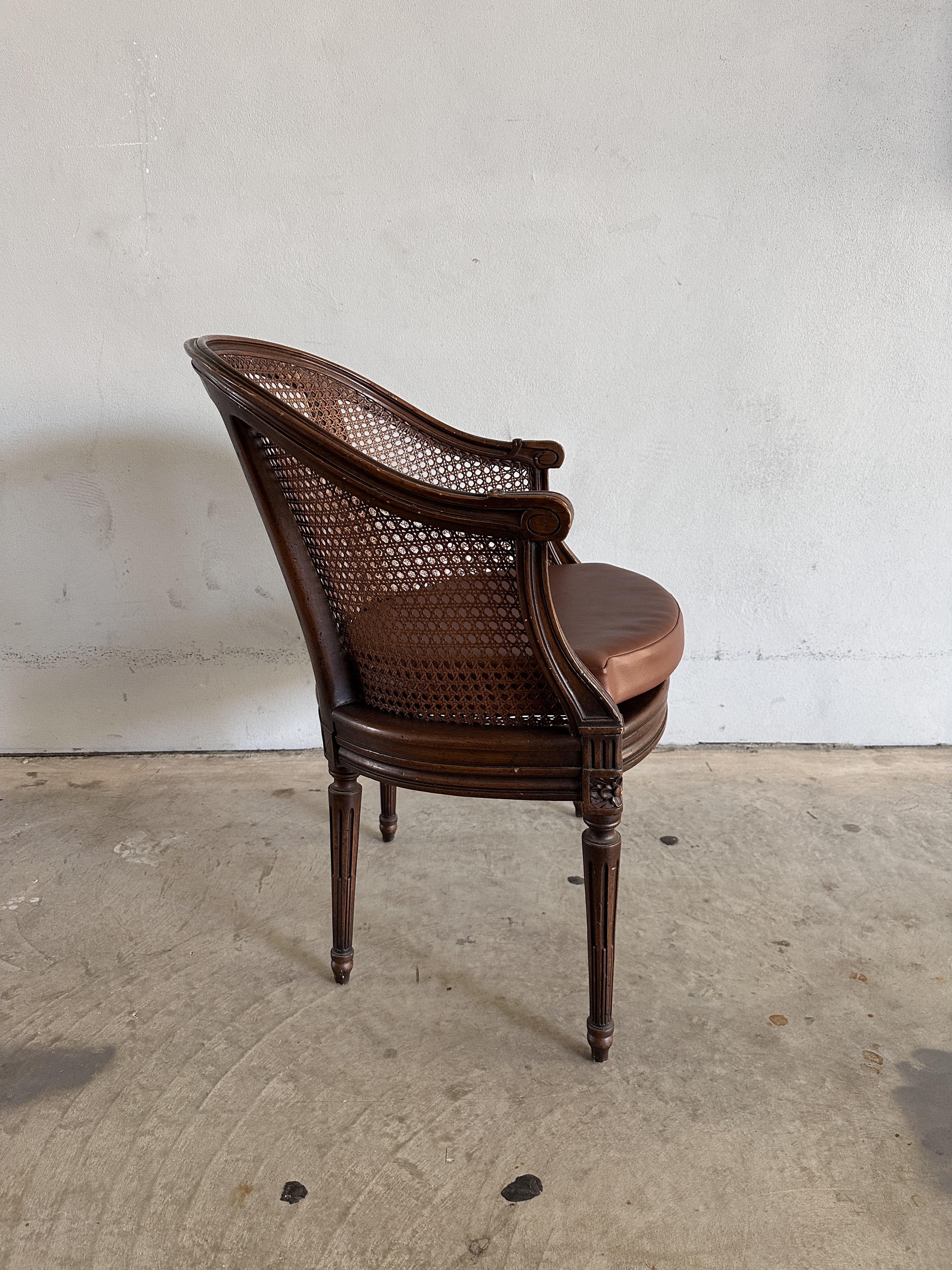 french-louis-xvi-style-cane-