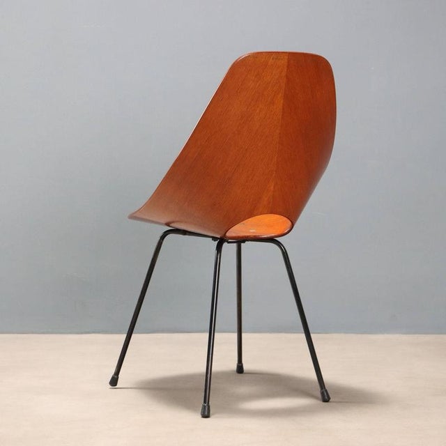 Brown Vintage Medea Chair by Vittorio Nobili for F.lli Tagliabue, 1960s For Sale - Image 8 of 11
