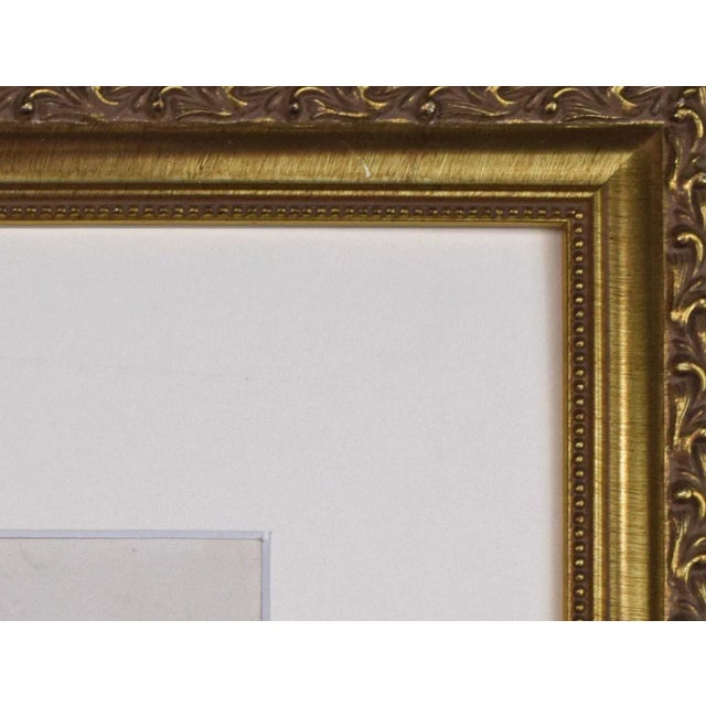 19th Century English Hand Colored Quail/Bird Engraving by Goldsmith For Sale In New York - Image 6 of 6